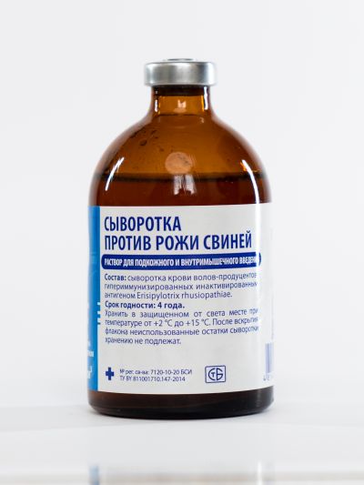 Сыворотка против рожи свиней